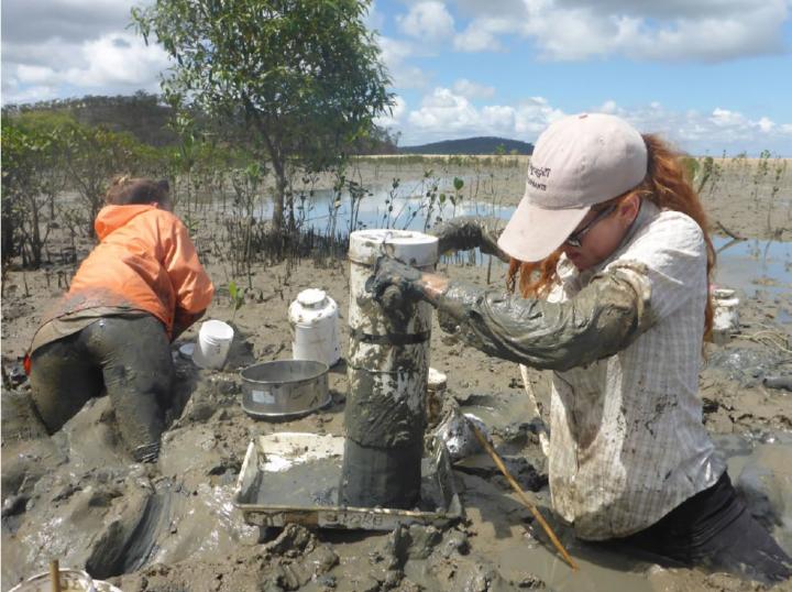 Sampling Invertebrates