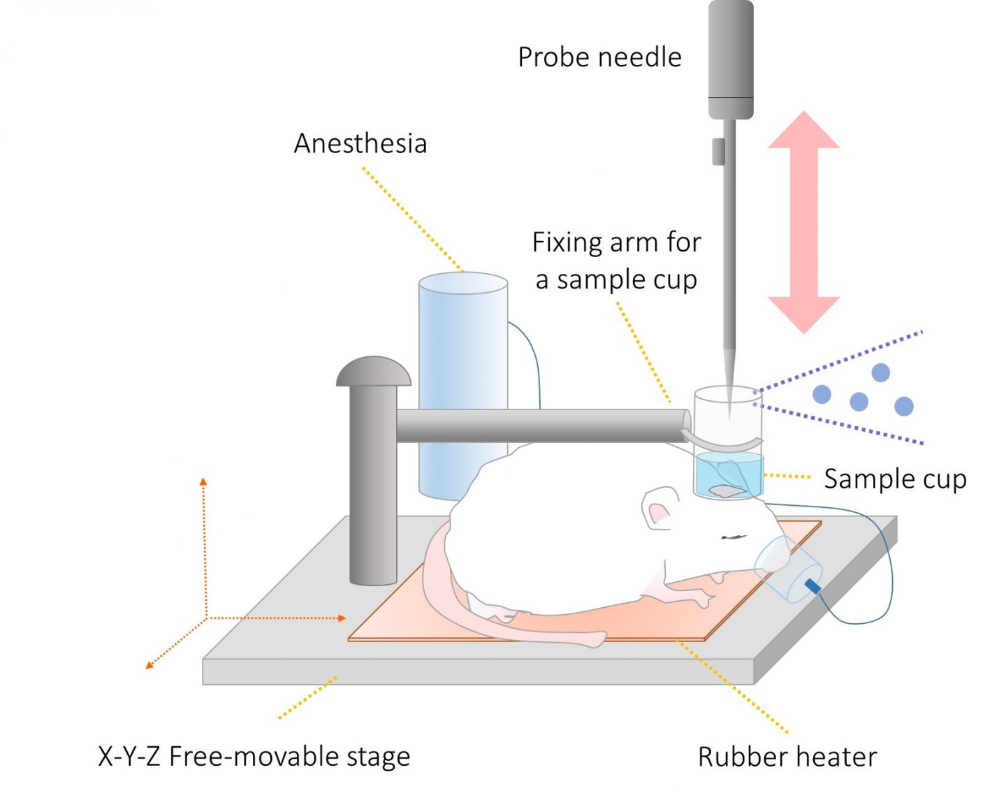 Schematic Image of a Free-Movable Stage