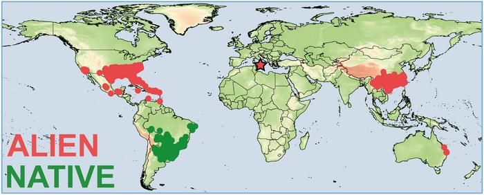 Distribution map of S. invicta