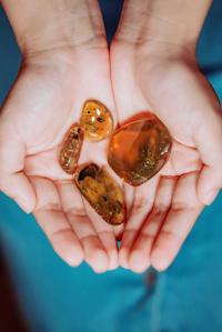 Oldest-Known Frogs in Amber Recovered in Myanmar