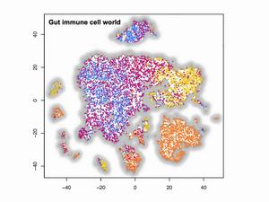 Animation of gut immune cell world map