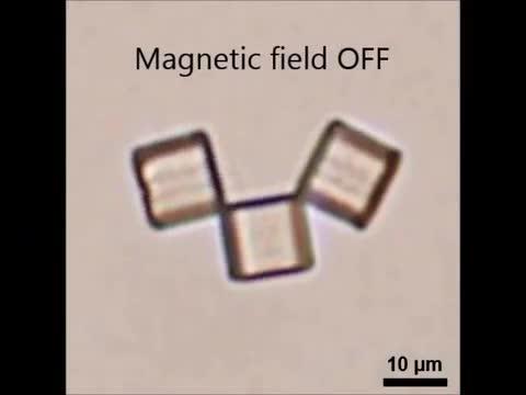 A 'Magnetic Edge' Allows Tiny Cubes to Self-Assemble On Demand (6 of 10)