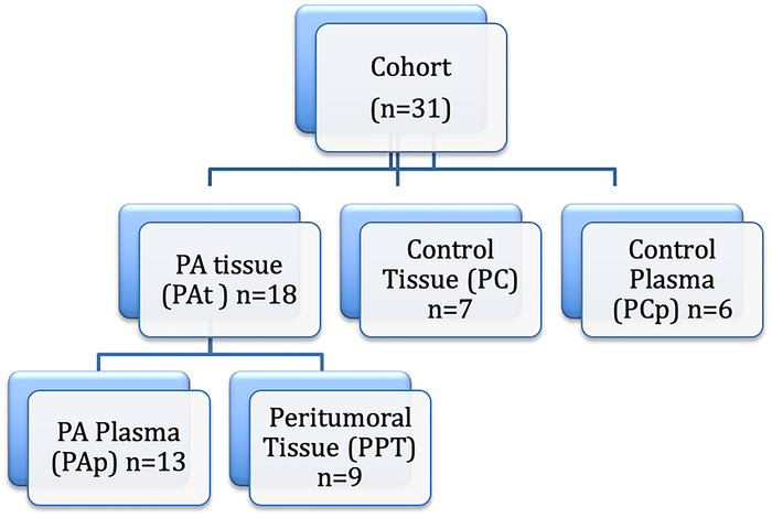 Pancreatic ductal adenocarcinoma