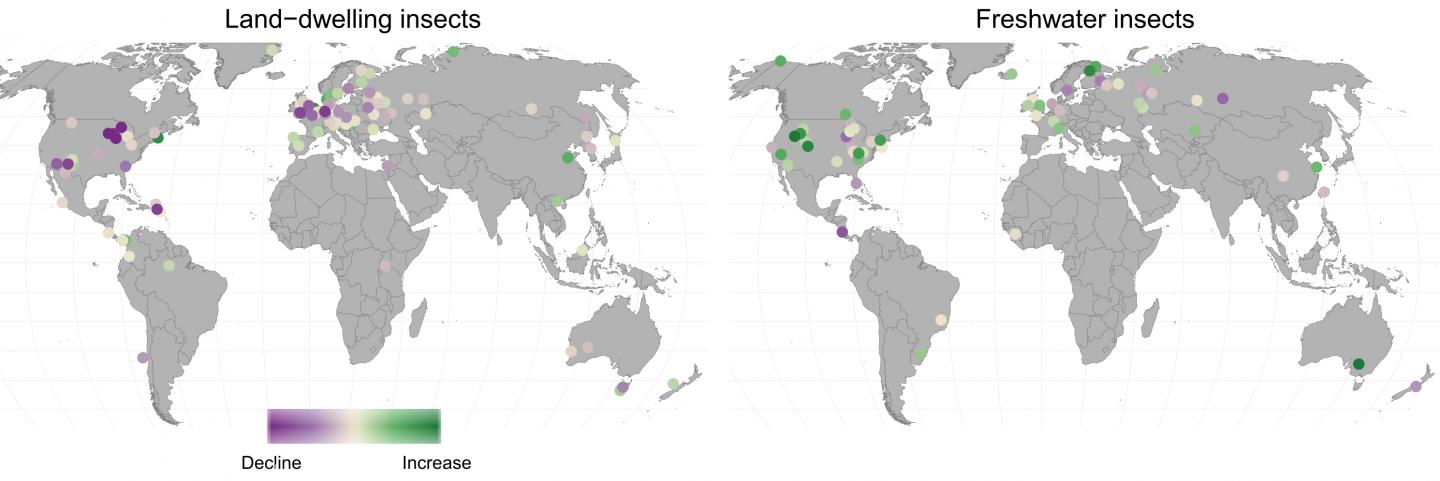 Global Changes in Insect Populations Reflect Both Decline and Growth (2 of 2)