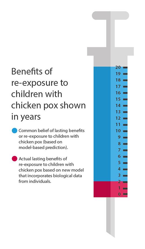 Chickenpox Temporarily Boosts Immunity to Shingles