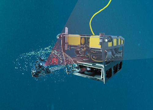 MBARI's MiniROV Using the DeepPIV System to Study a Giant Larvacean