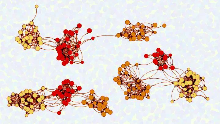 Faculty Networks