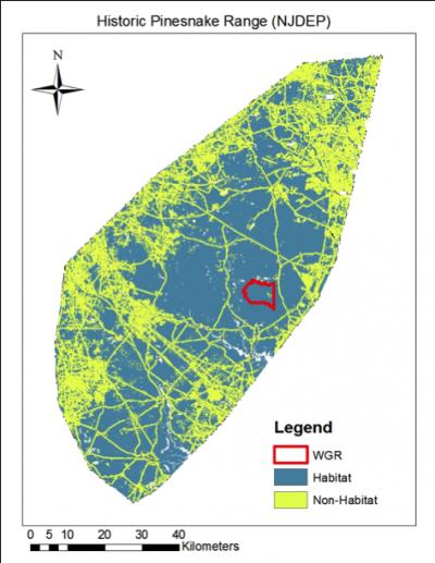 Snake Habitat Fragmented by Roads and Development