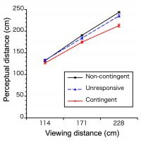 Estimated Perceptual Distance as a Function of Viewing Distance and the Conditions (Figure 2)