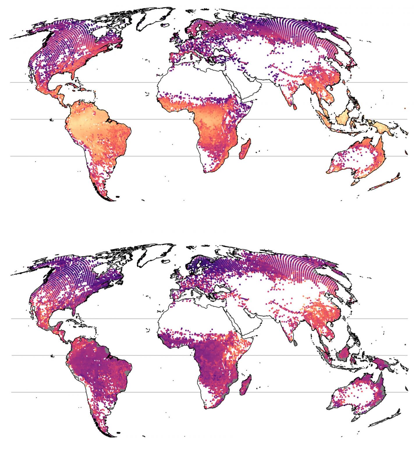 World Map of Tree Diversity: Local Scale (Upper Figure), Regional Scale (Lower Figure)