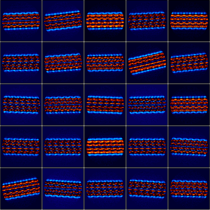 Flagellum filament [IMAGE] EurekAlert! Science News Releases