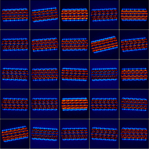 Flagellum filament