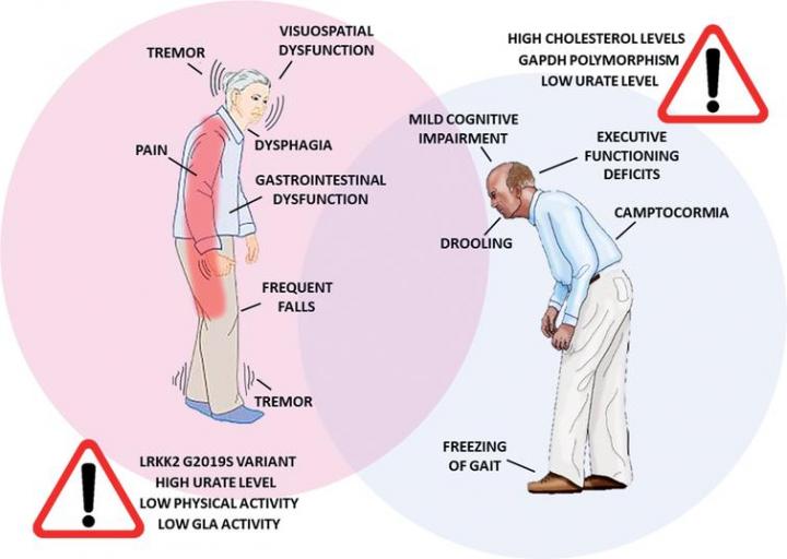 Differences in PD Symptomatology and Risk Factors