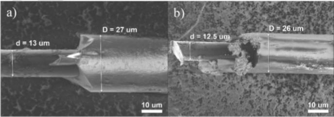 SEM Images of Microwires