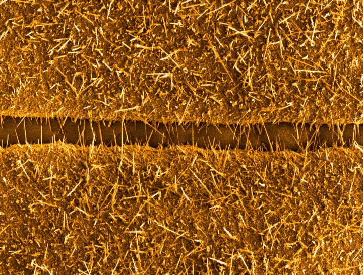 Copper Oxide Nanowires Bridging Copper Microstructures