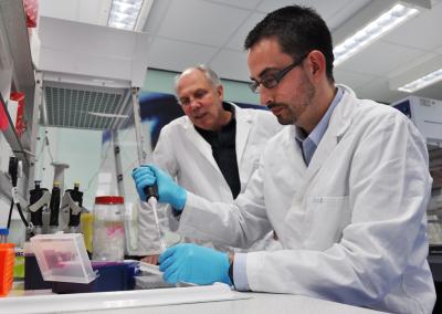 Diego Gomez-Nicola, University of Southampton