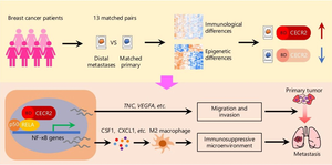 Yale Science Translational Medicine study