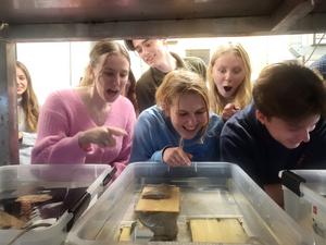 Excited students seeing Naked Clams in aquarium - credit University of Plymouth