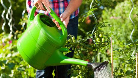 Gardening Therapy Helps Women On Long-Term Sick Leave Return To Work