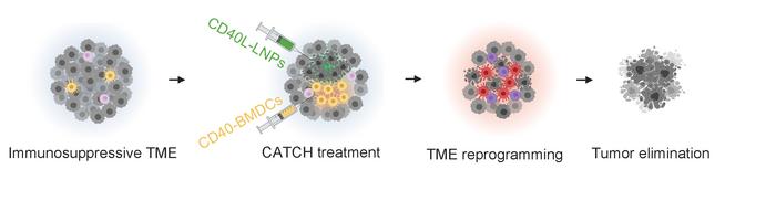 Closing of the cancer-immunity cycle