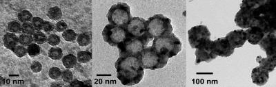 Hollow Nickel Oxide Nanoparticles of Different Sizes