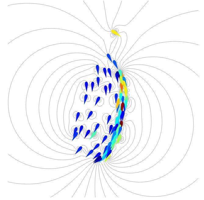 School of Fish Simulation with Hydrodynamics