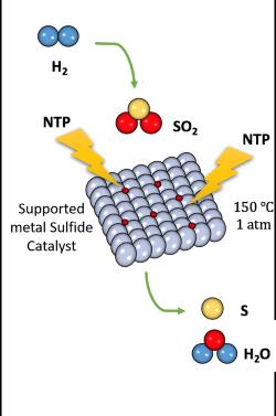 plasma catalyst