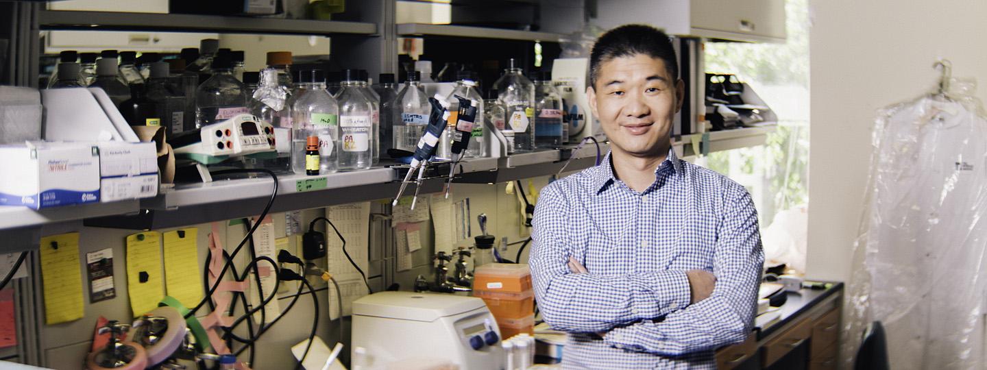 Rugang Zhang, Ph.D., The Wistar Institute