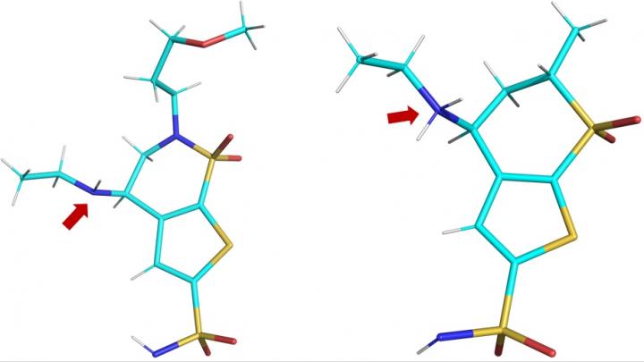 3-D Structures of Brinzolamide and Dorzolamide