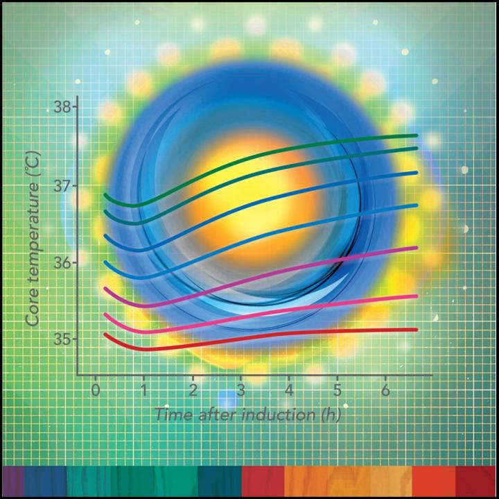 Patients Actively Warmed During Surgery Still Experience Hypothermia, Study Finds