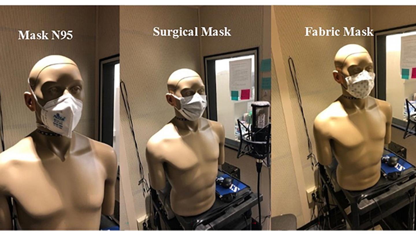 Understanding Speech in the Pandemic