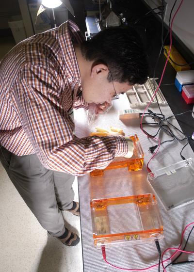 Yoichi Kato, Florida State University