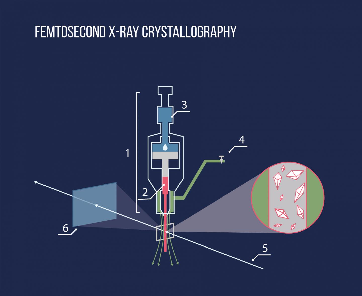 Diagram of the Femtosecond X-Ray Crystallography Experiment