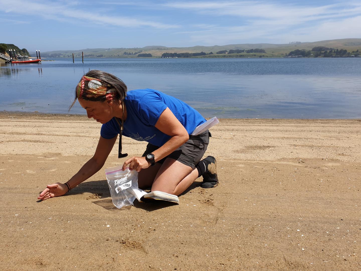 Associate Professor Ana Vila-Concejo collecting sand
