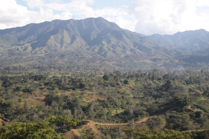 Papua New Guinea Landscape
