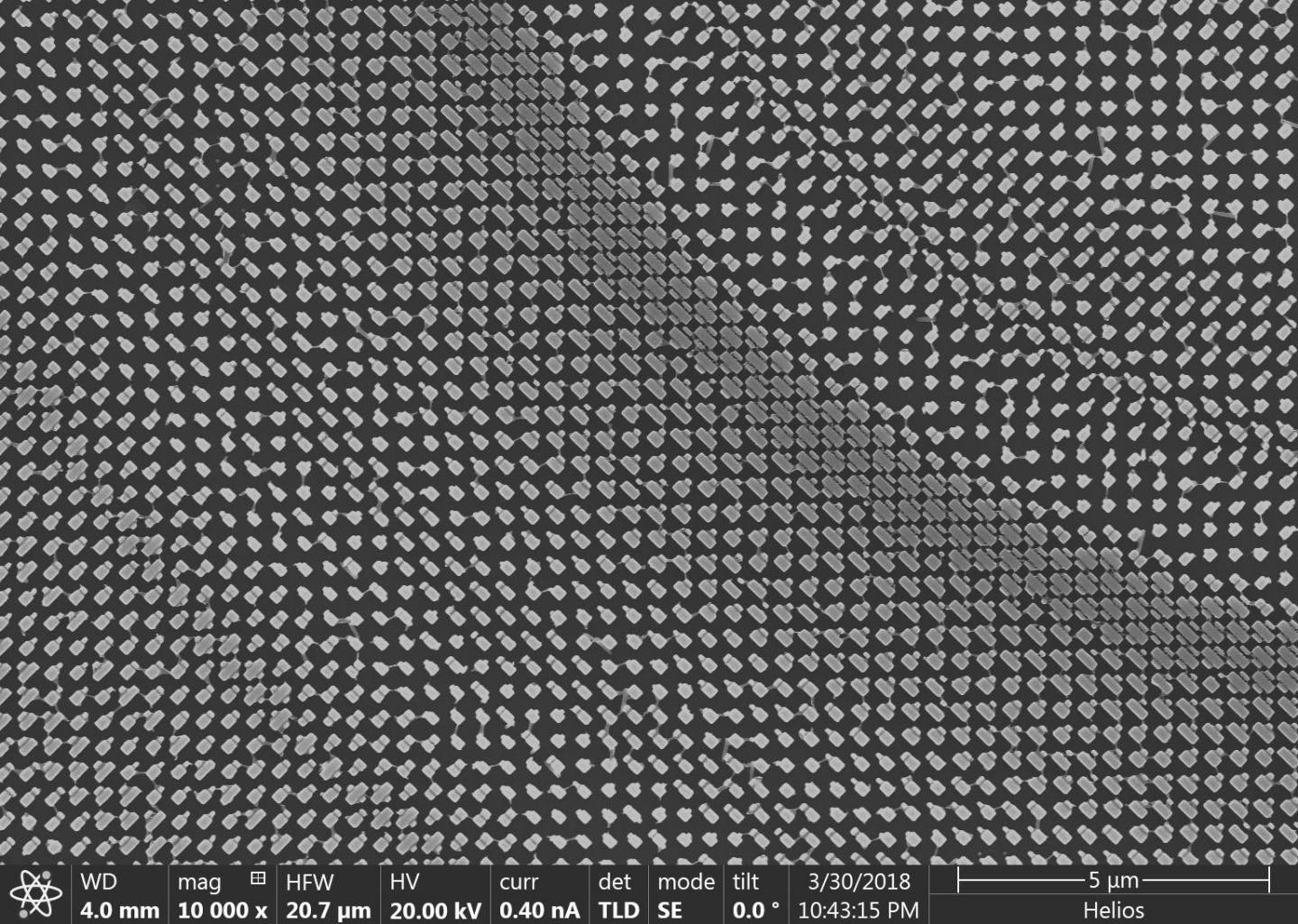 SEM Image of Nanofins