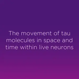 Tracking the movement of tau proteins in live neurons