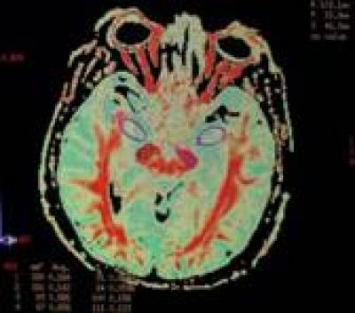 Establishment of Locations