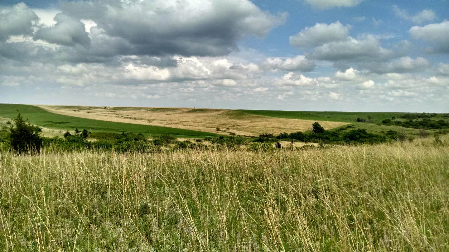 Konza Prairie Grasslands