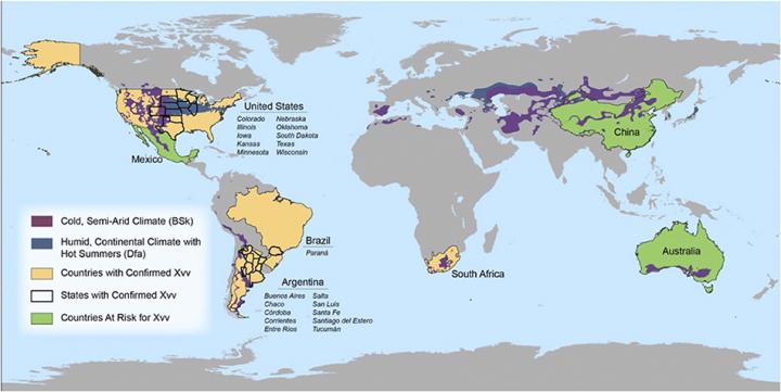 Current Distribution 