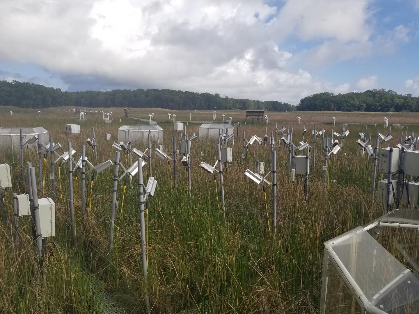 Experimental Warming and Carbon Dioxide Enrichment Plots