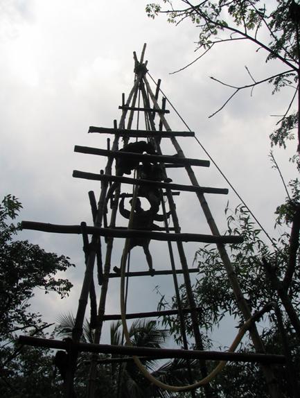 A Bamboo Rig Used for Drilling Deep Wells