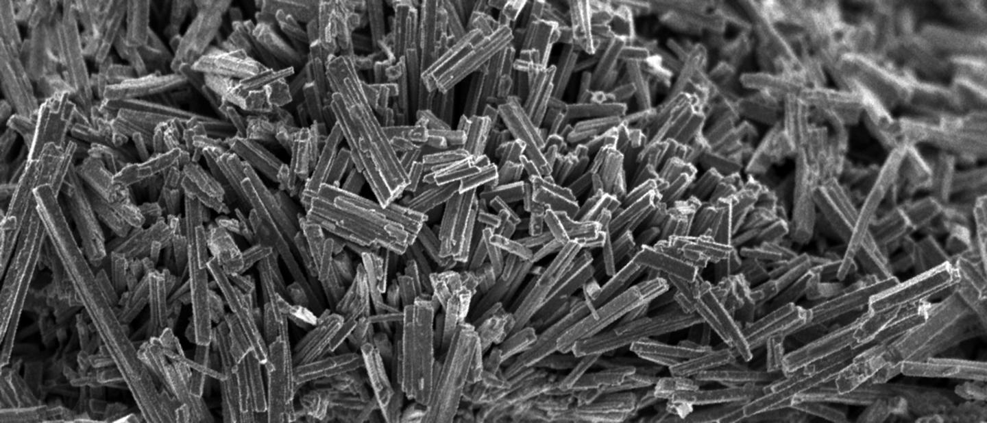 Nickel Molybdenum Sulfide Catalyst