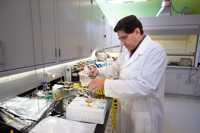 Illinois Tech Professor Phil T [IMAGE] | EurekAlert! Science News Releases