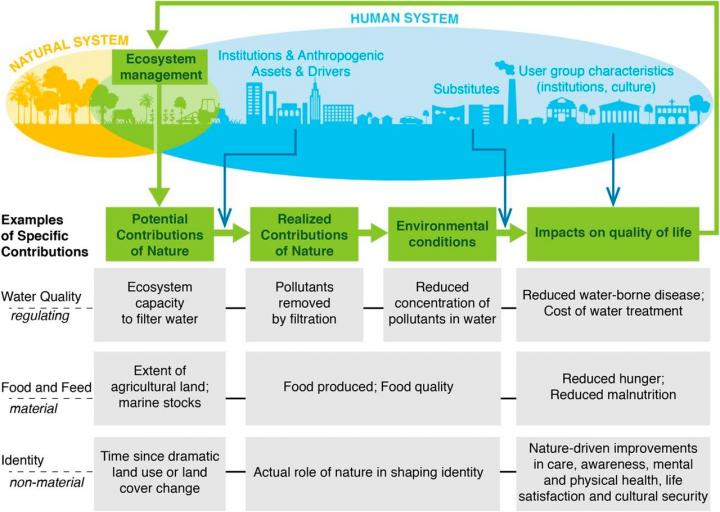 Nature's contributions to human wellbeing