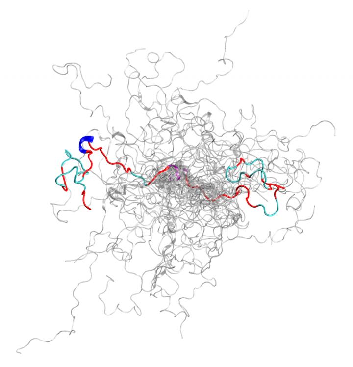 Intrinsically Disordered Protein