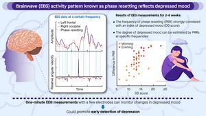 Graphical Abstract