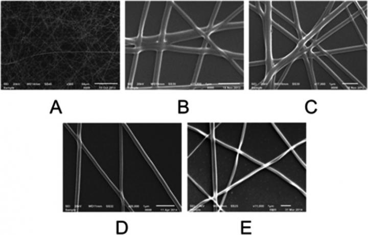 Spidroin Fiber Matrix