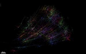 Snapshot of human neurons
