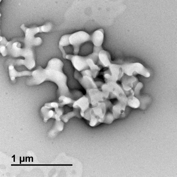 Maruyama Aggregates Clumps